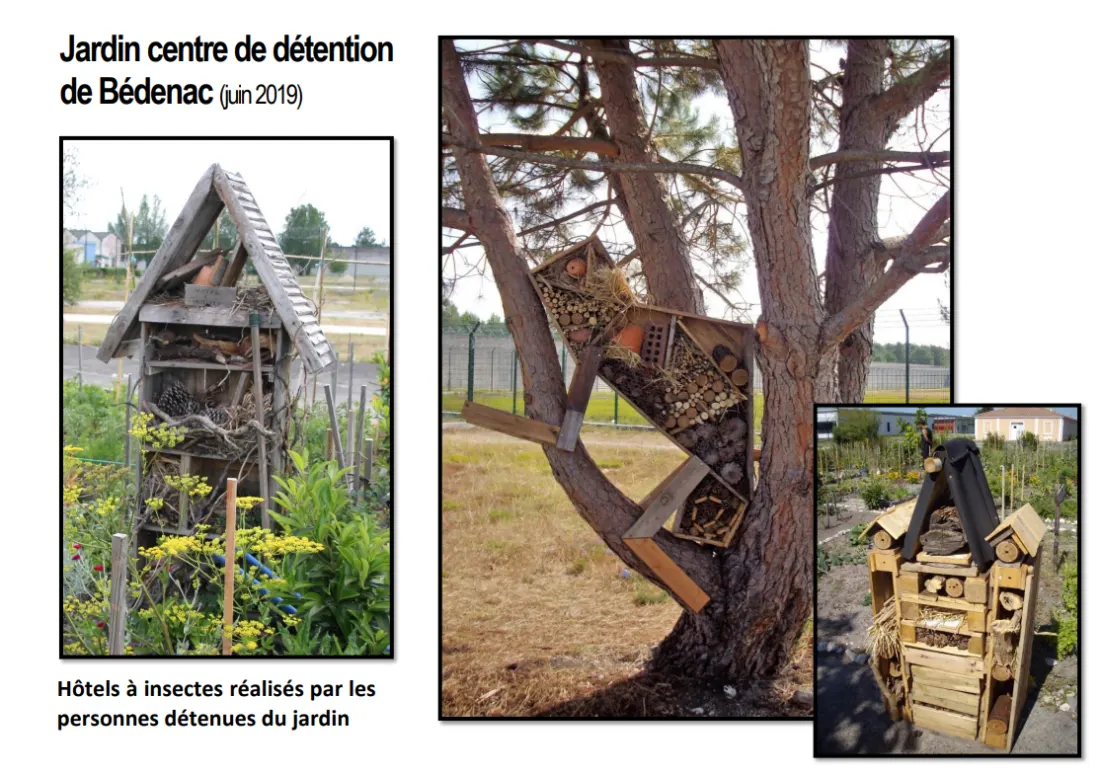 Projet jardins : la verdure le long des murs